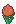 Visual colocado de Raiz Bulbo