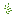 Ícone de inventário de Sementes de Shredroot