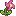Visual colocado de Flor do Protectorate