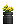 Visual colocado de Planta de Lírio Amarelo