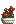 Visual colocado de Cesta de Poinsétia