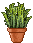 Visual colocado de Planta em Vaso Grama