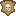 Visual colocado de Crânio Montado Em Escudo