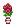 Visual colocado de Vaso de Flor de Lírio