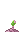 Visual colocado de Semente de Neuropod