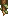 Visual colocado de Espinhos Afiados
