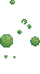 Visual colocado de Planta Penumball