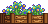 Visual colocado de Canteiro de Flores