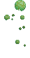 Visual colocado de Planta Penumball