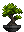Visual colocado de Planta de Meditação