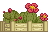 Visual colocado de Canteiro de Flores de Cacto