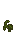 Visual colocado de Semente de Teratomato