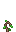 Visual colocado de Semente de Ambrum