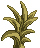 Visual colocado de Planta Folhosa