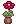 Visual colocado de Pote de Flor Blob
