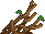 Visual colocado de Raiz